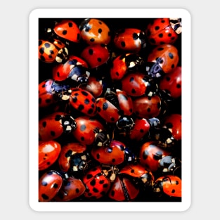 Ladybugs Sticker